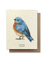 Small Victories The Bower Studio Seed Cards Birds