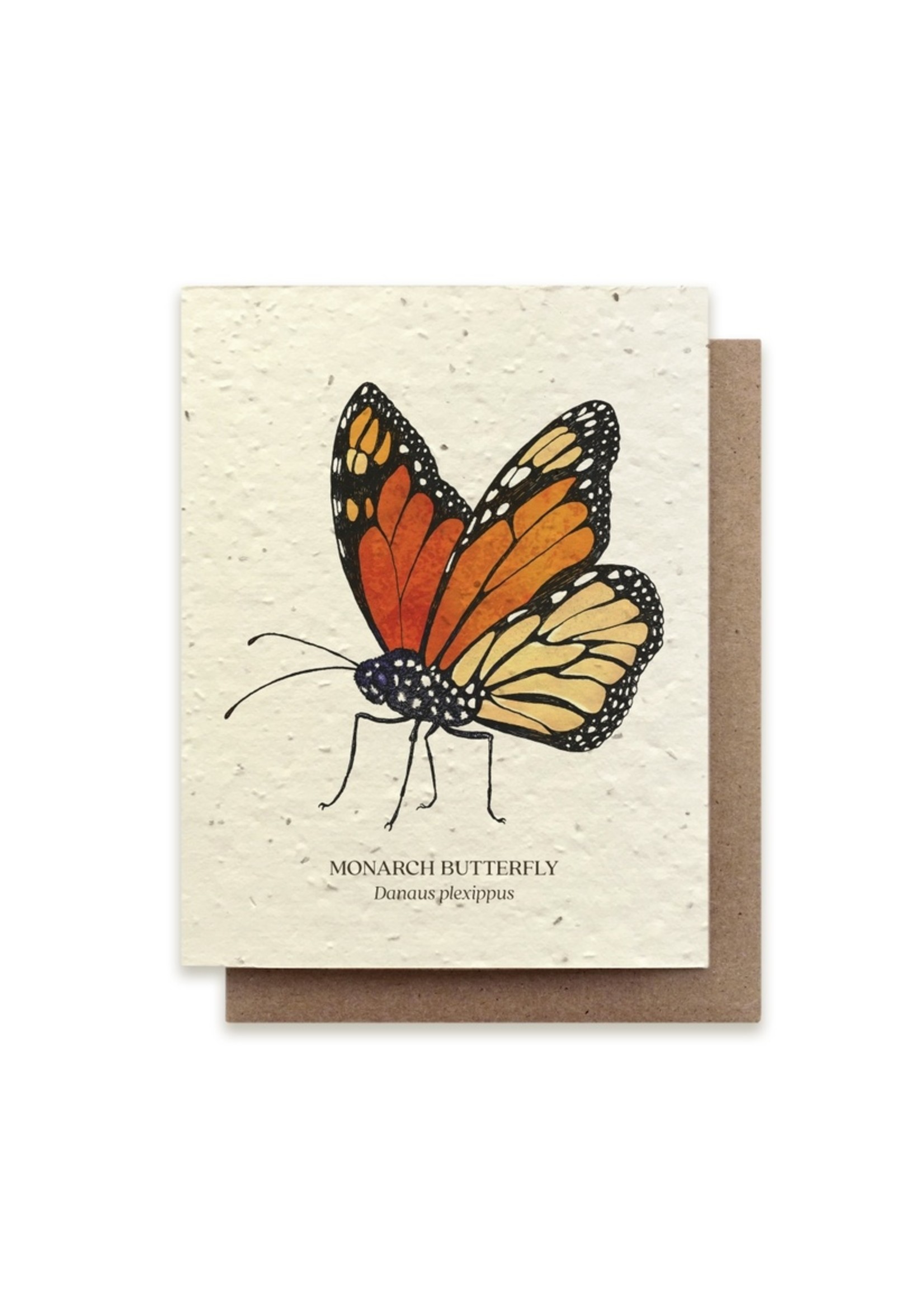 Small Victories The Bower Studio Seed Card Insects