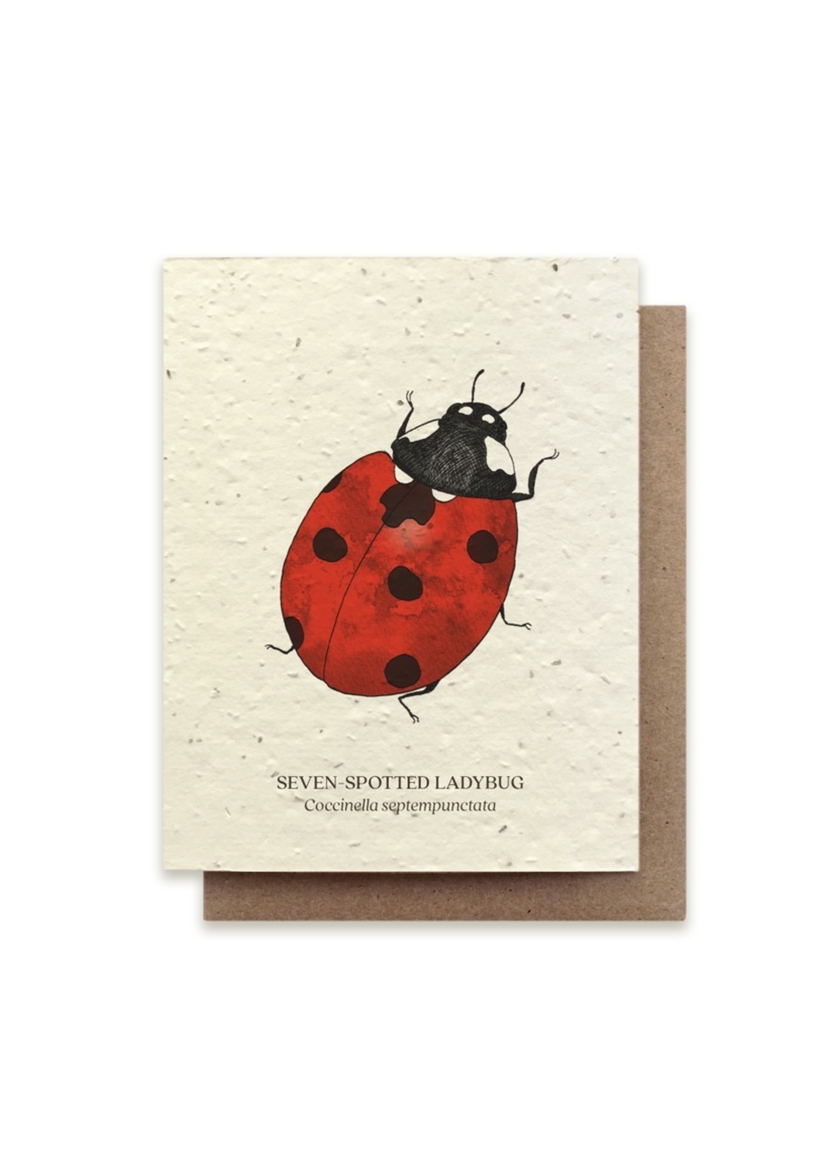 Small Victories The Bower Studio Seed Card Insects
