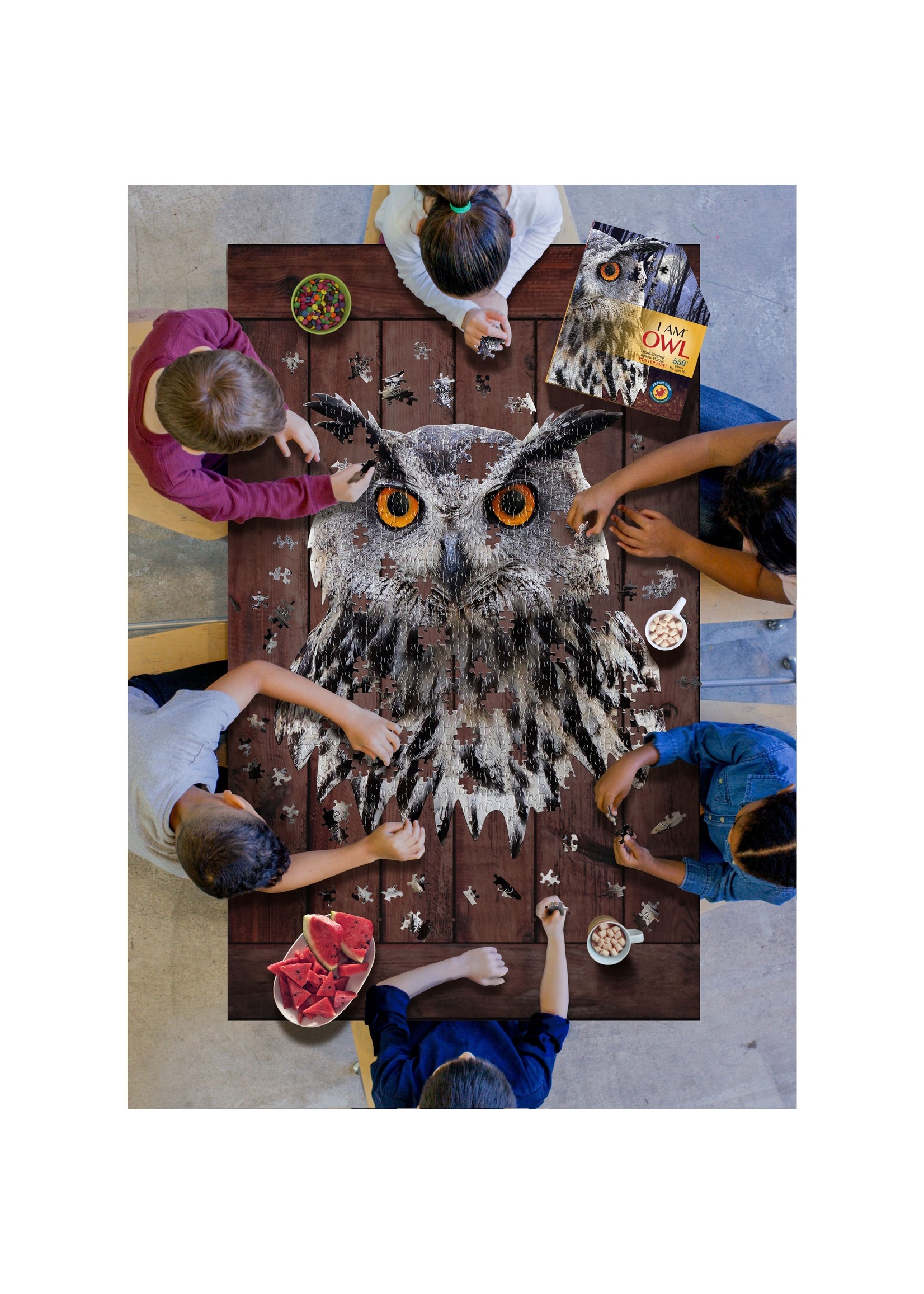 Madd Capp Games & Puzzles PUZZLE - I AM OWL 550