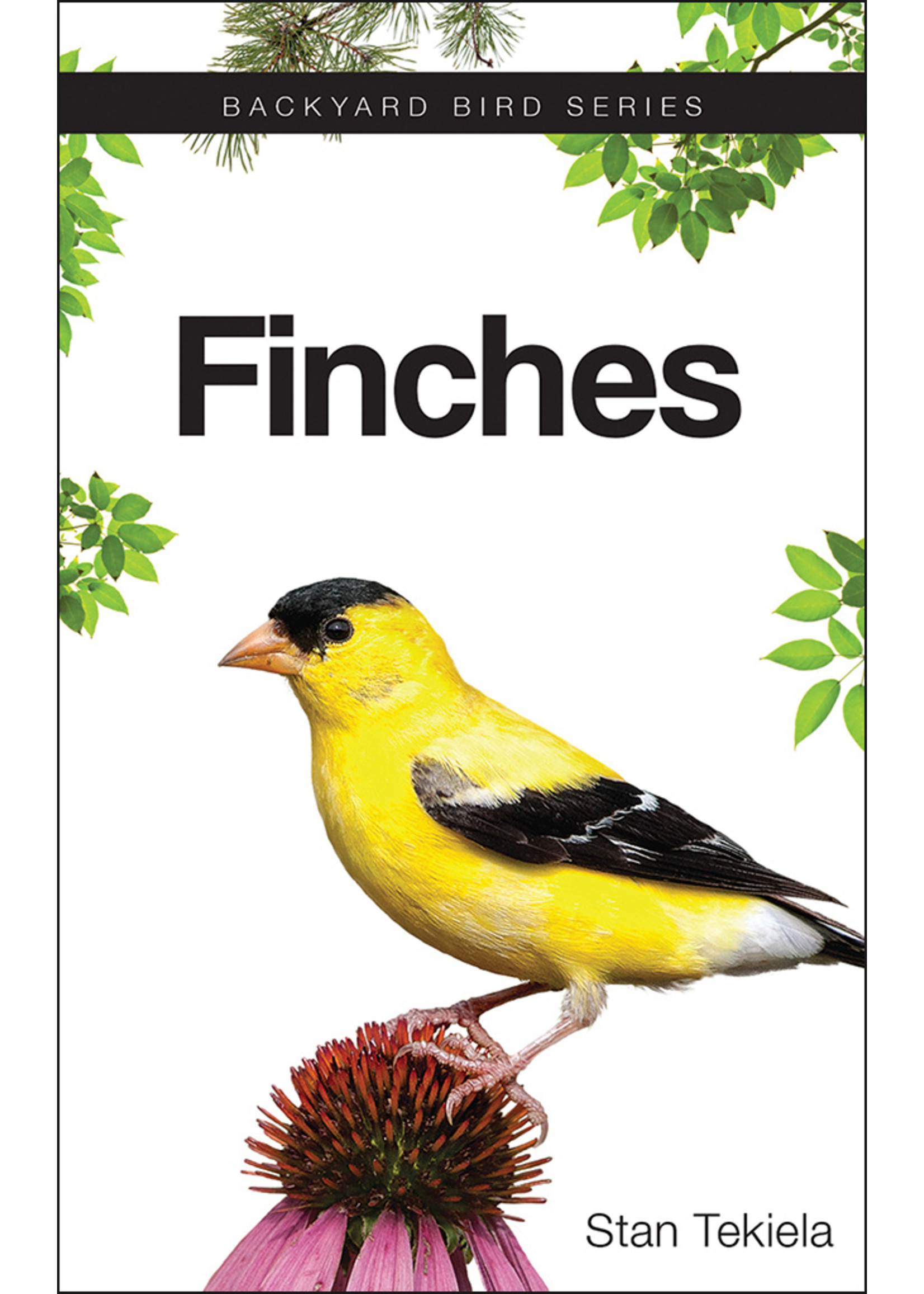 Adventure Publications BOOK - FINCHES