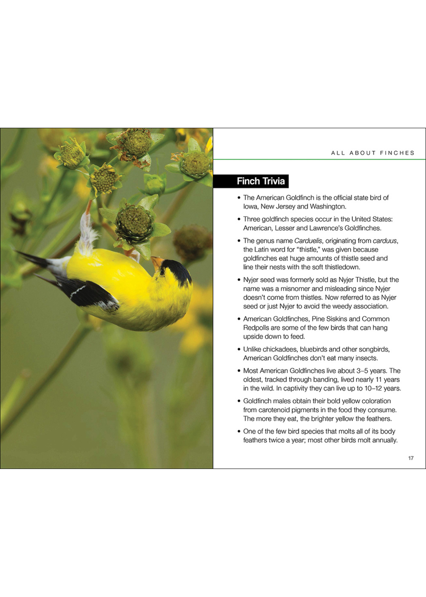 Adventure Publications BOOK - FINCHES