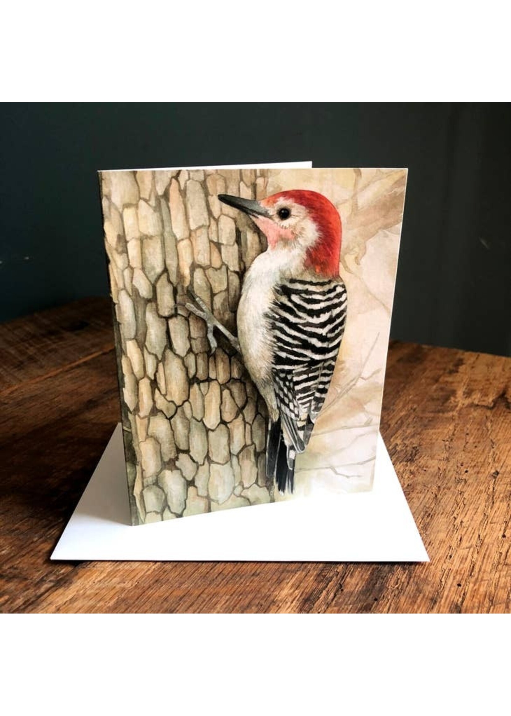 AS Paquette Red-bellied Woodpecker - Blank Note Card