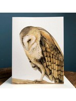 AS Paquette Barn Owl - Blank Note Card