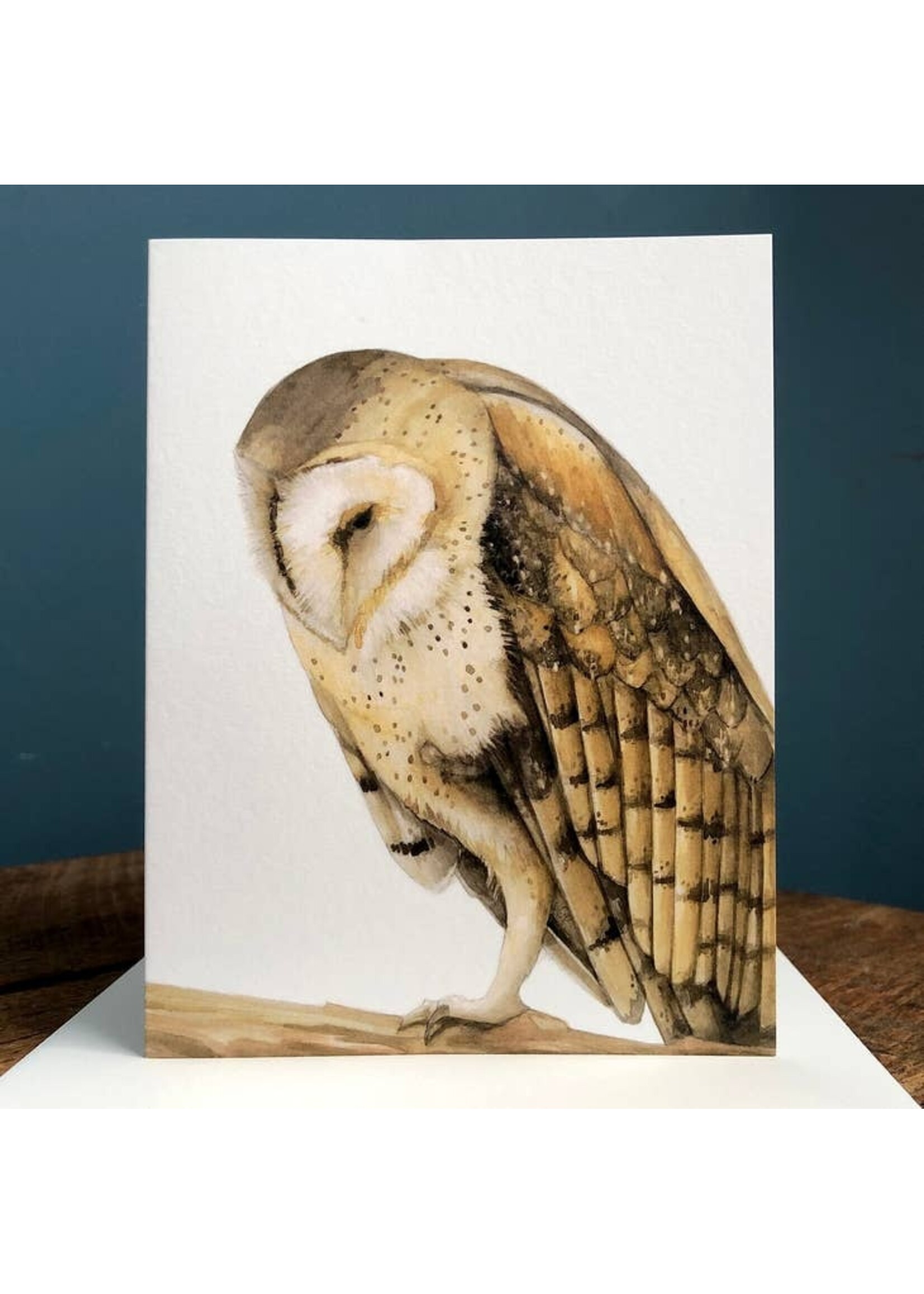 AS Paquette Barn Owl - Blank Note Card