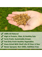 1 Pound Dried Mealworms