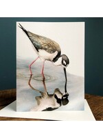 AS Paquette Black Necked Stilt - Blank Note Card