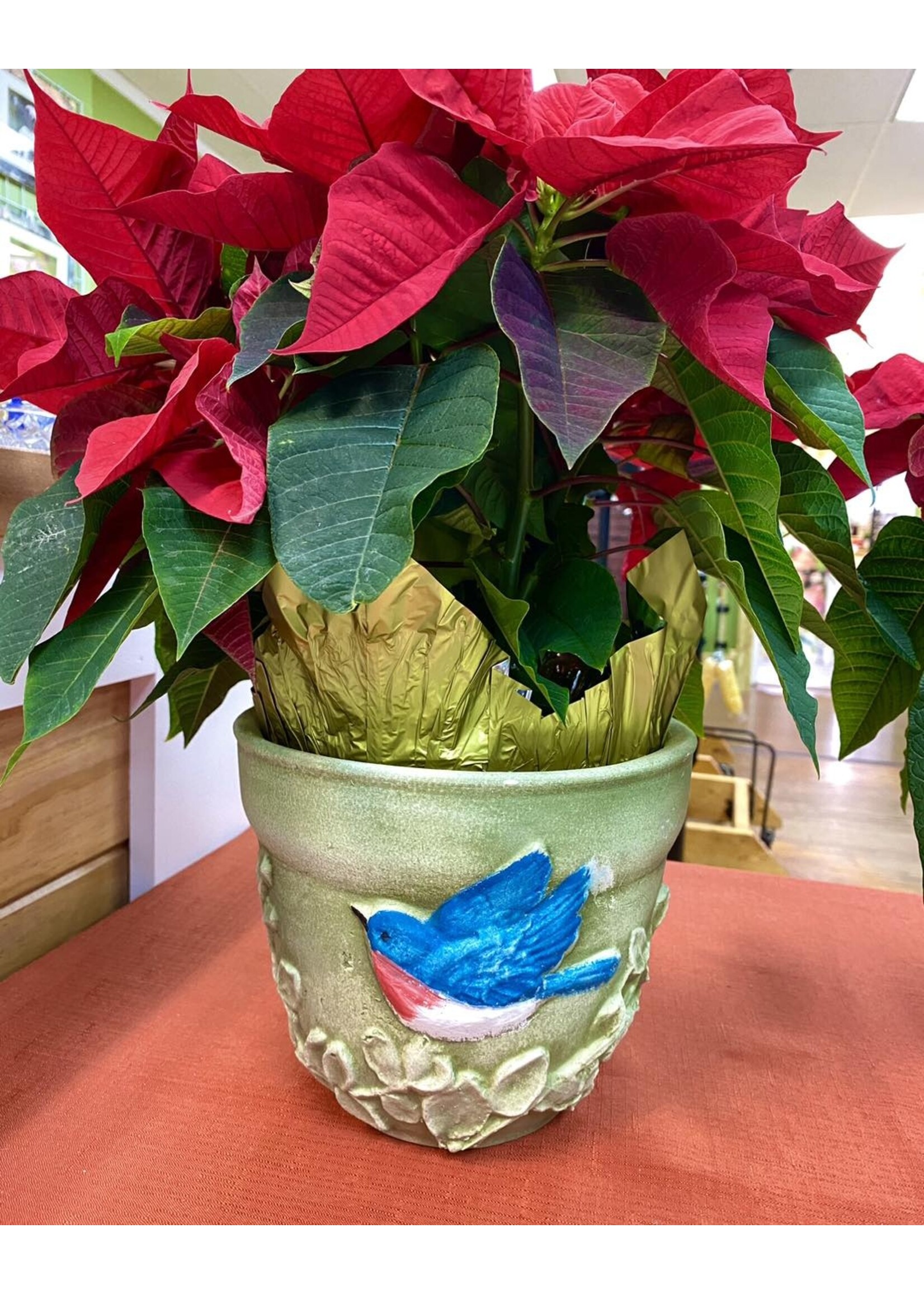 BURLEY POTTERY Hand Painted Planter