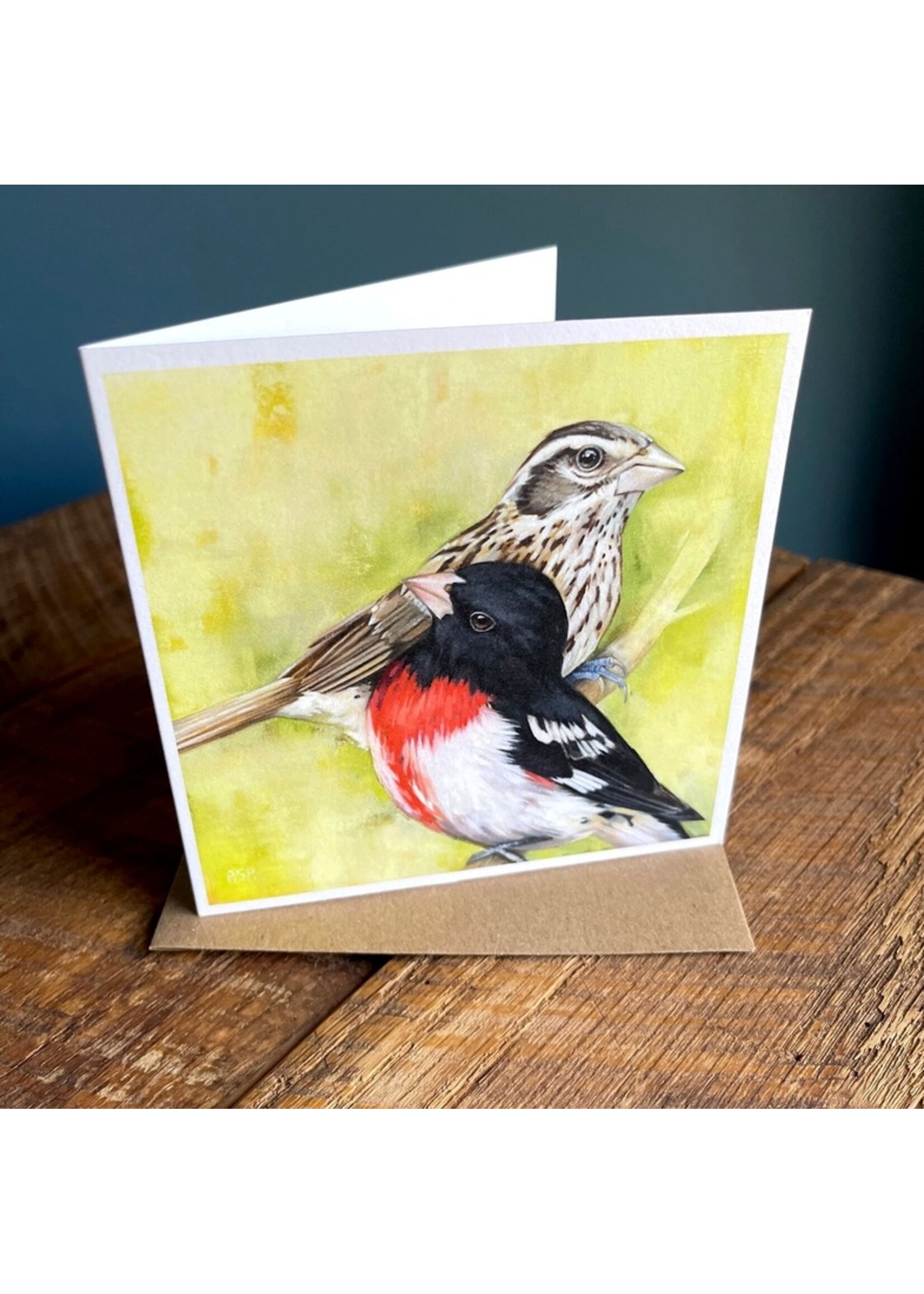 AS Paquette Rose Breasted Grosbeak Blank Note Cards single