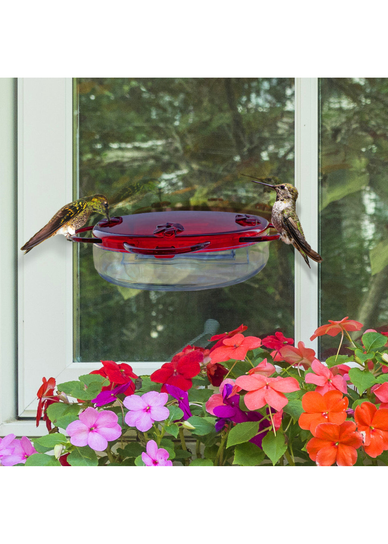 Nature's Way Window Hummingbird Feeder
