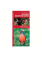 EASTERN BACKYARD BIRDS BY JAMES KAVANAGH