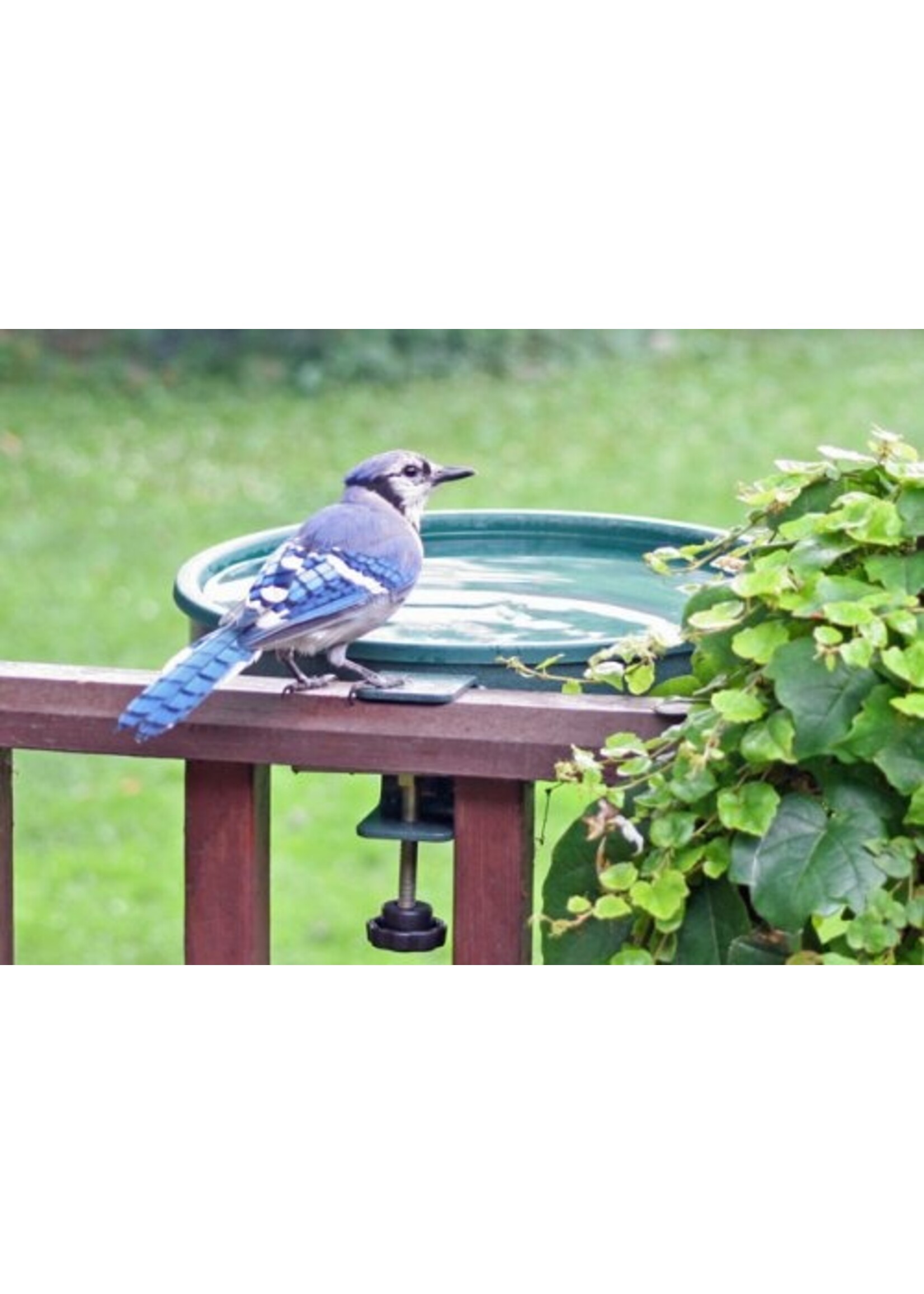 ERVA Deck Clamp Birdbath