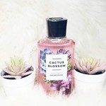 SweetMelrose Fragrances
