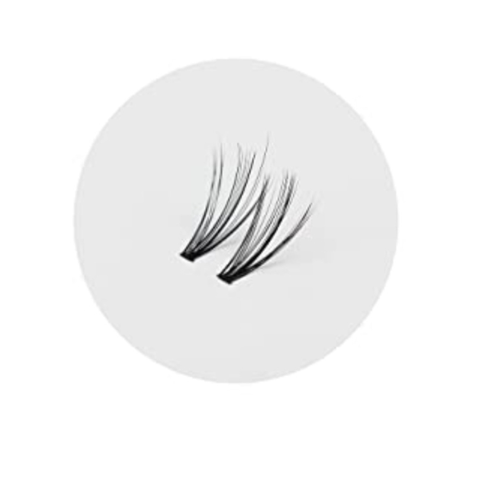 Individual Lash Install