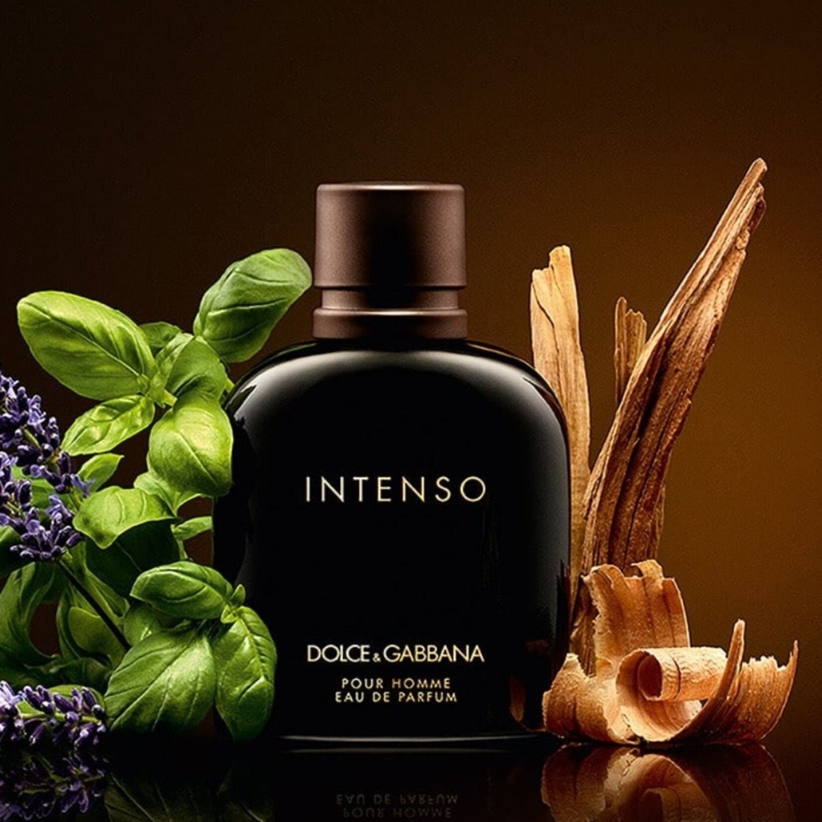 0418  |  DOLCE GABBANA | Intenso Eau De Parfum Spray for Men, 4.2 Fluid Ounce