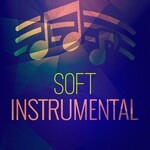 INSTRUMENTALS