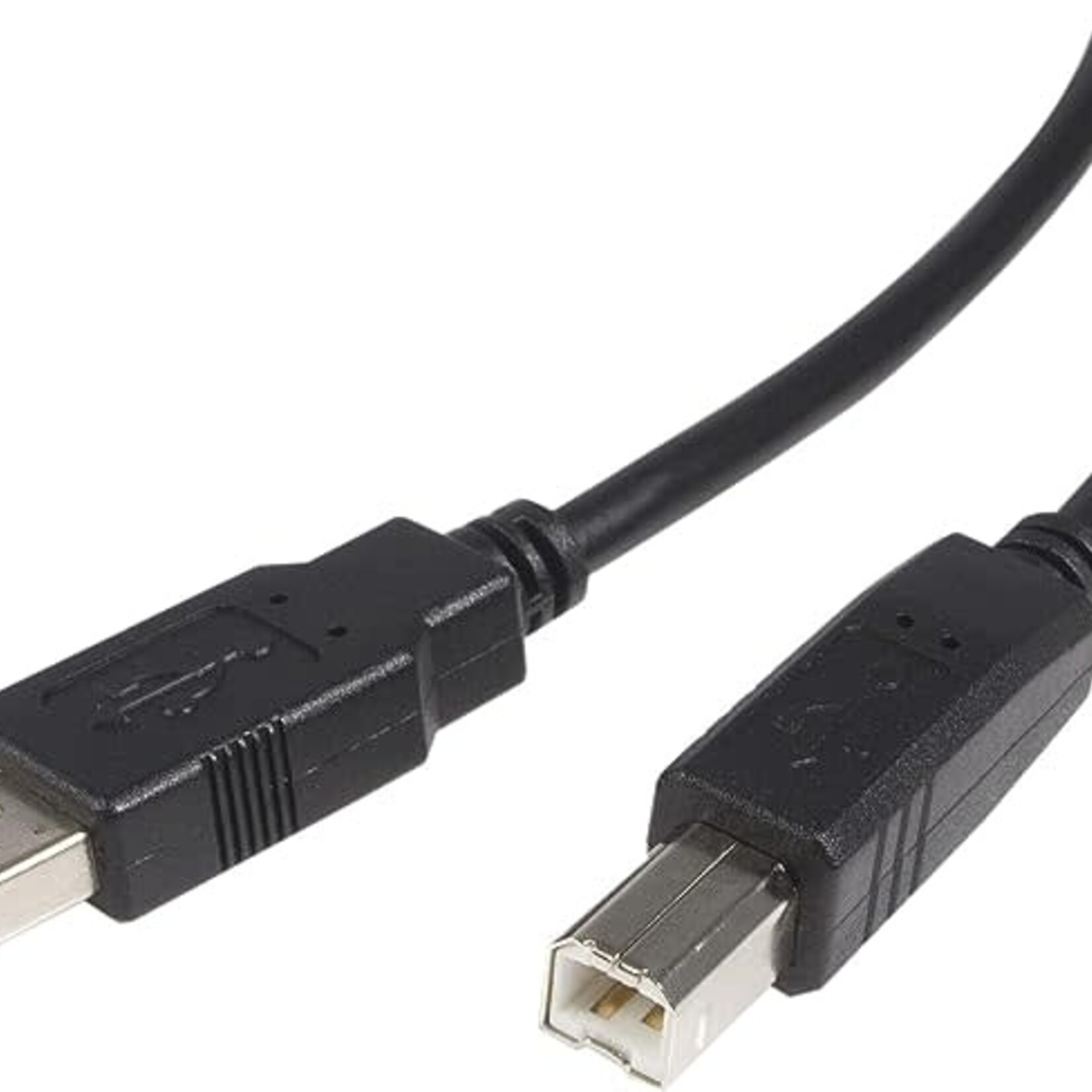 DSE | StarTech.com | USB 2.0 A to B Cable - 15 ft