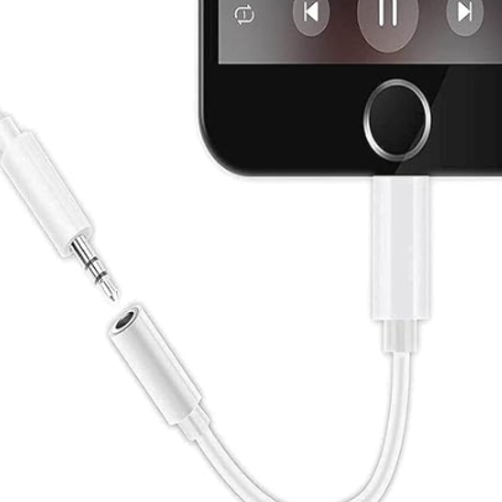 0309 _DSE | Apple MFi Certified | Lightning to 3.5 mm Headphone Jack (AUX)