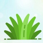 Island Roots - MANGO BODY BUTTER (Sample)