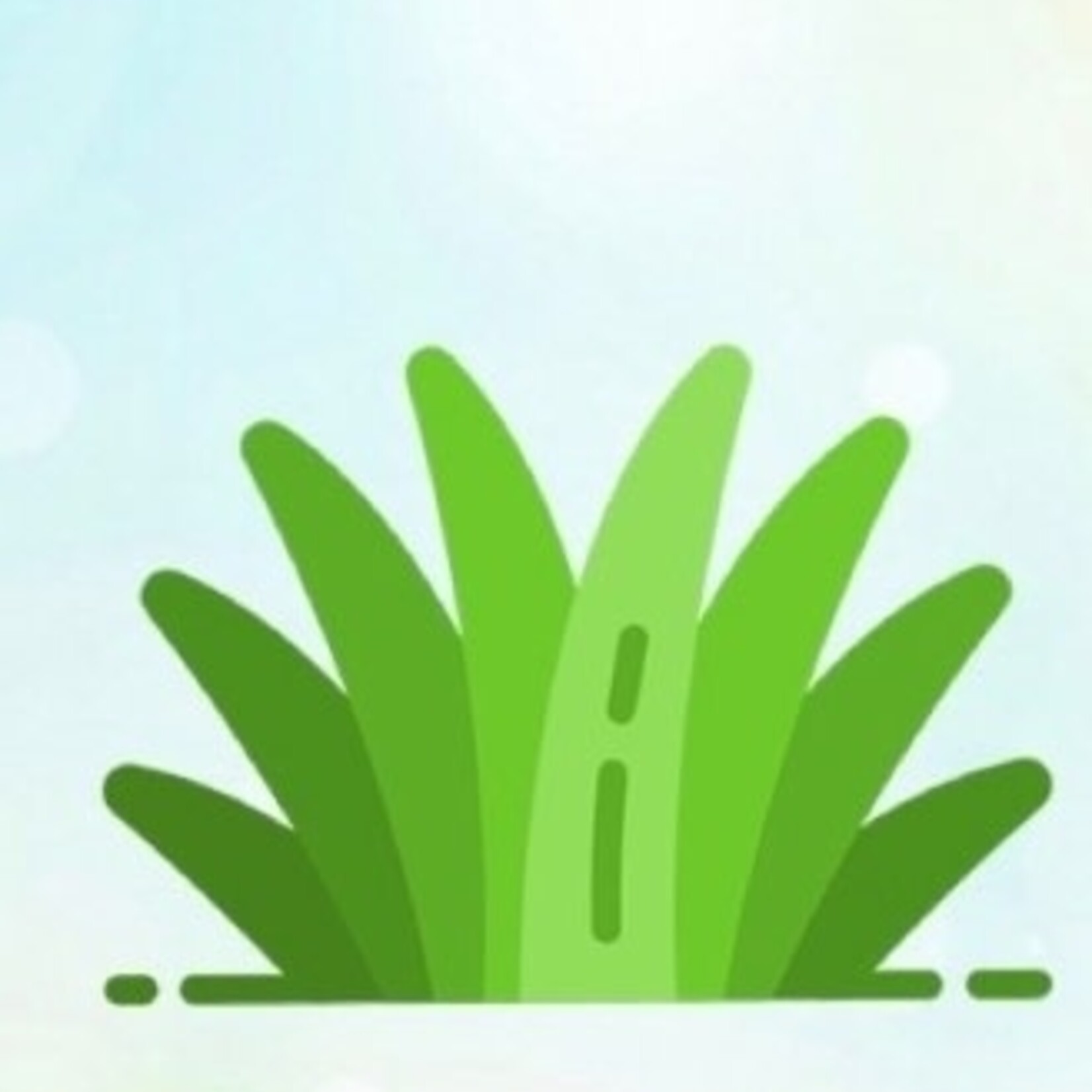 Island Roots - DETOX MASK (Sample)