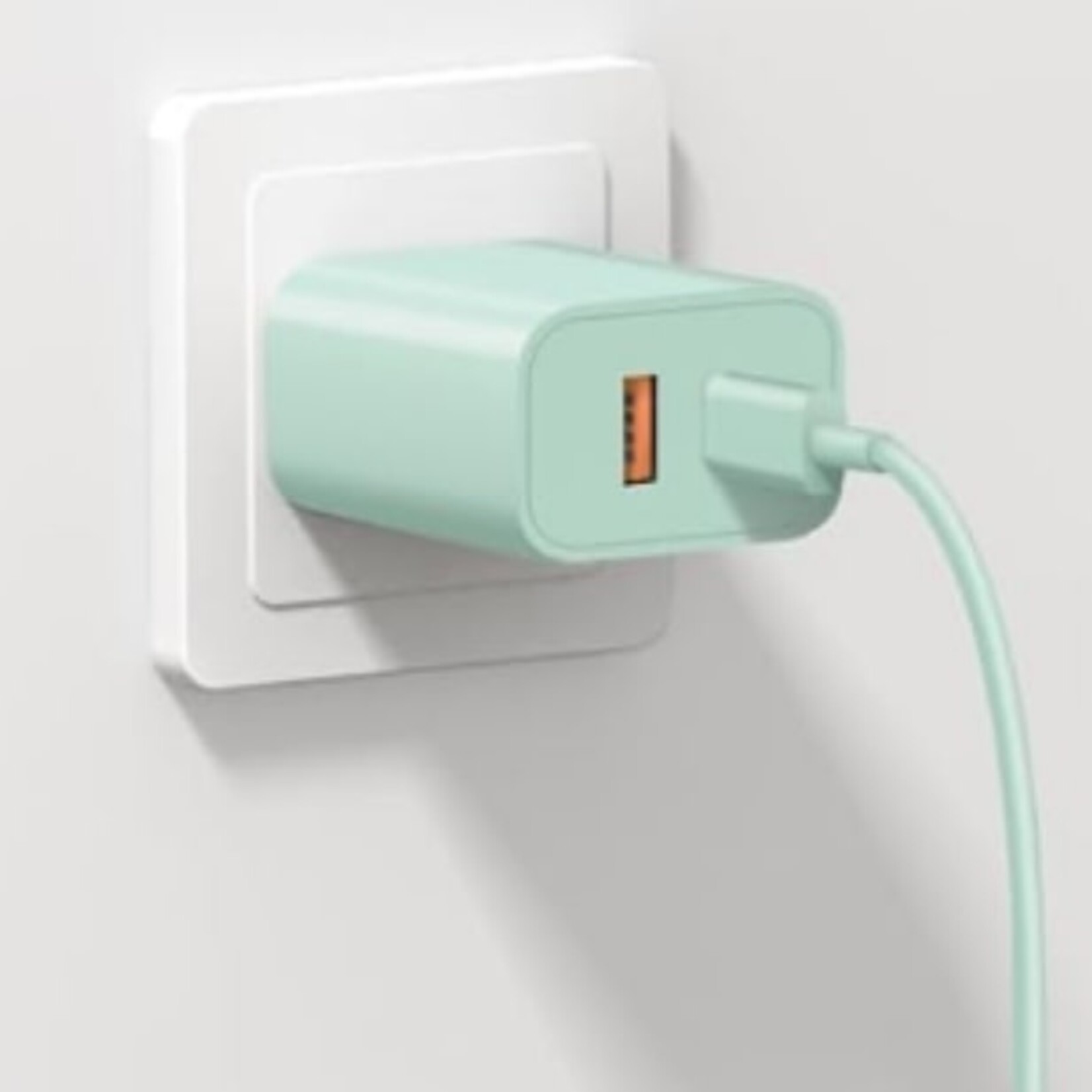 0218  | DSE | DUAL | USB + C Charger Dual Port Block - Green