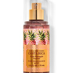 0218 | Bath & Body | TRAVEL SIZE (SET) - Pink Pineapple Sunrise