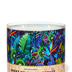 0913 | Bath & Body | 3-WICK CANDLE  -  Sweet Kiwi & Starfruit