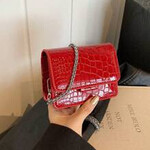 0827 | EIN | Mini Metal Chain Fashionable New Crossbody Bag - Burgundy/RED (silver chain)