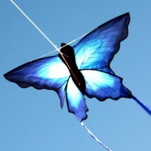 General Windspeed Ulysses Butterfly Kite