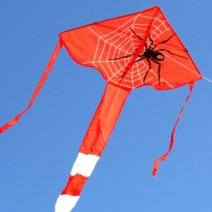General Windspeed Spider Delta Kite