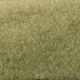 Toys WOODLAND SCENICS 2mm Static Grass Light Green