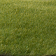 Toys WOODLAND SCENICS 2mm Static Grass Dark Green