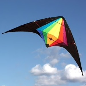 General Windspeed Black Widow Sports Kite