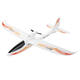 Aircraft Electric WLF Sky King Small Glider/Pusher RTF