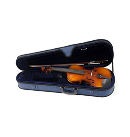 Raggetti Raggetti RV2 Violin 4/4 includes Luthier Setup