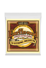 Ernie Ball Earthwood 12-String Medium