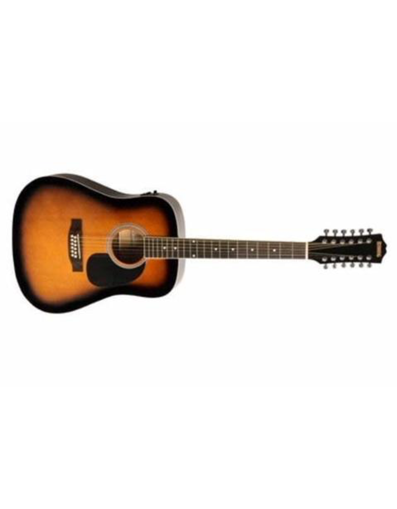 REDDING 12 String Dreadnought w/ Pick Up