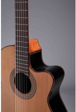 Altamira N-300CE Cutaway with Fishman EQ Pickup / Solid Cedar Top / Laminate Indian Rosewood Back and Sides / Gloss Finish
