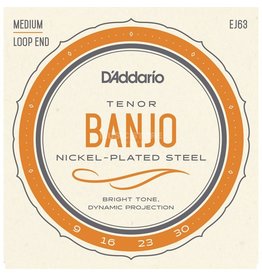 D'addario EJ63 Tenor Banjo 9-30