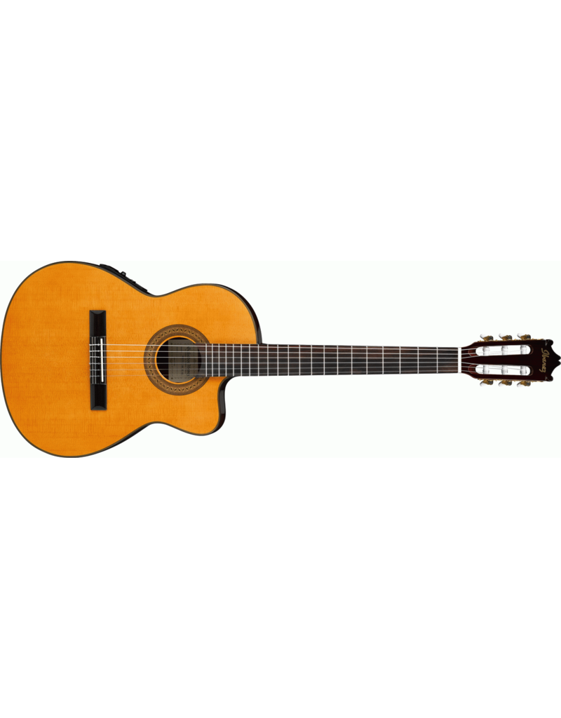 Ibanez GA5TCE NT Slim Classical Guitar