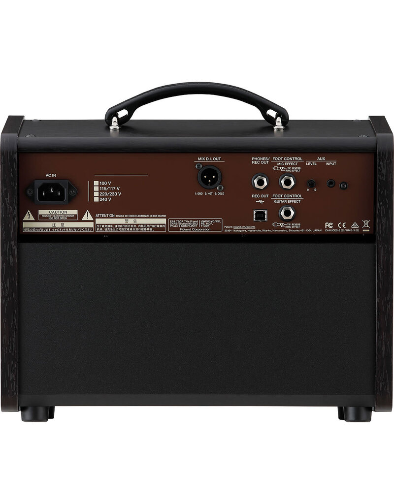 Roland Acoustic Singer Live LT Guitar Amplifier