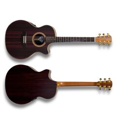Cole Clark Studio Recording 2EC All Rosewood Ebony FB