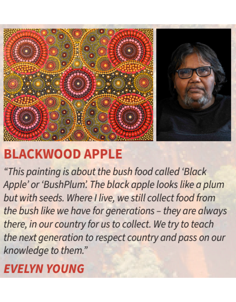 Kala “Blackwood Apple” – Concert - Artist Evelyn Young