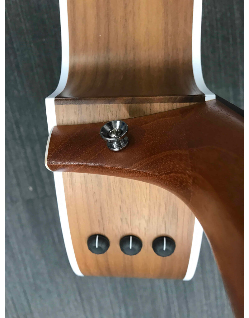 Taylor USED Taylor 214CE Spruce Top/Walnut B/S in Gig Bag