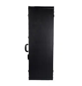 Mammoth WoodyG  Rectangular Bass Guitar Case