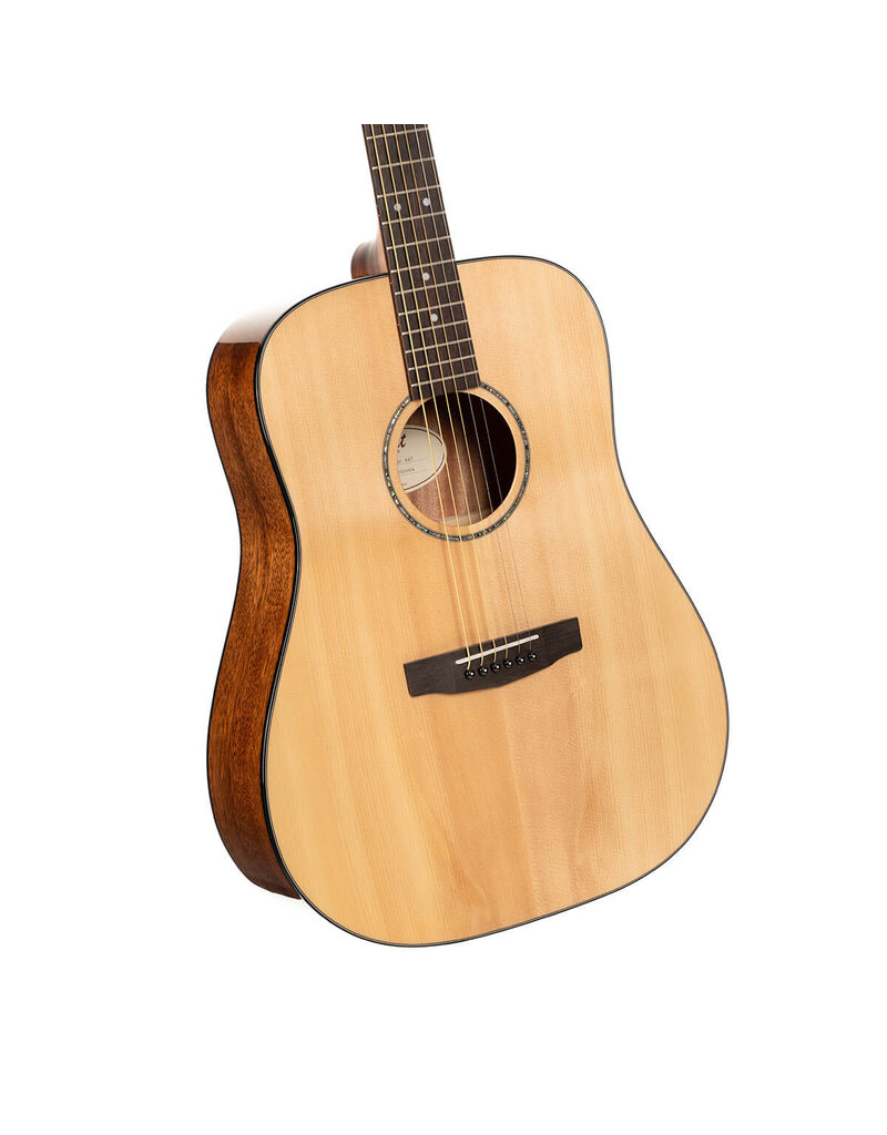 Cort Earth 60 OP Dreadnought Gloss