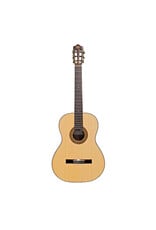 Katoh EV10 Evolution Guitar w/ GIG BAG