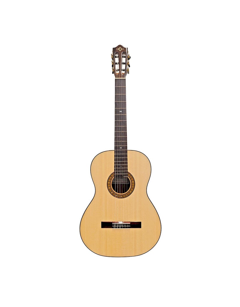 Katoh EV10 Evolution Guitar w/ GIG BAG