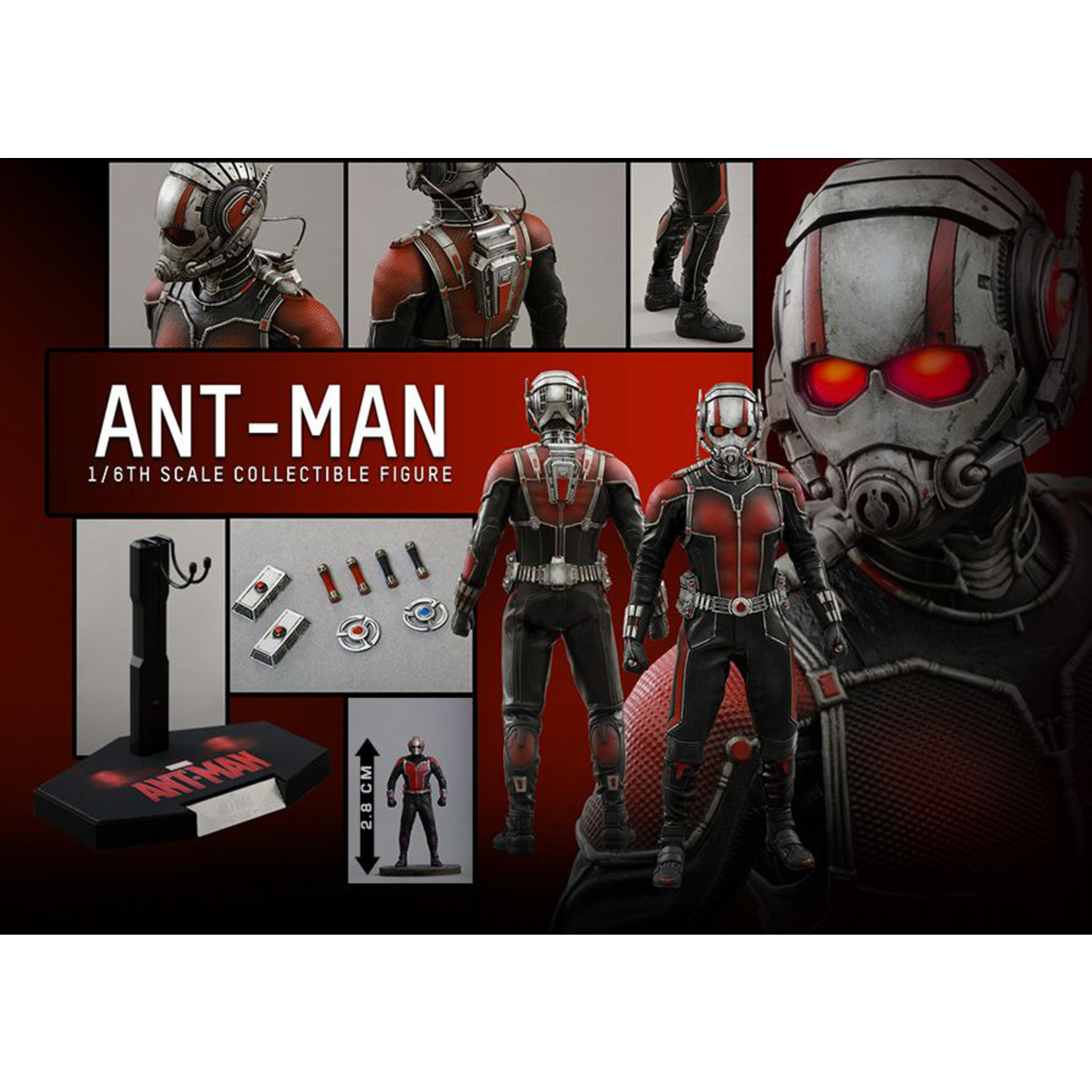 Hot Toys Ant Man - Ant Man MMS308