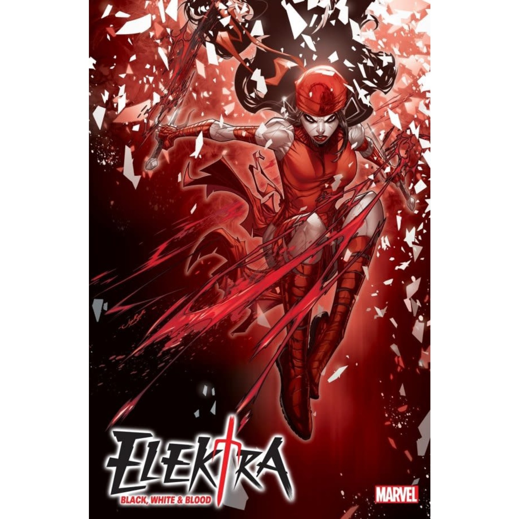 Marvel Elektra: Black, White & Blood #1 Jonboy Meyers Variant
